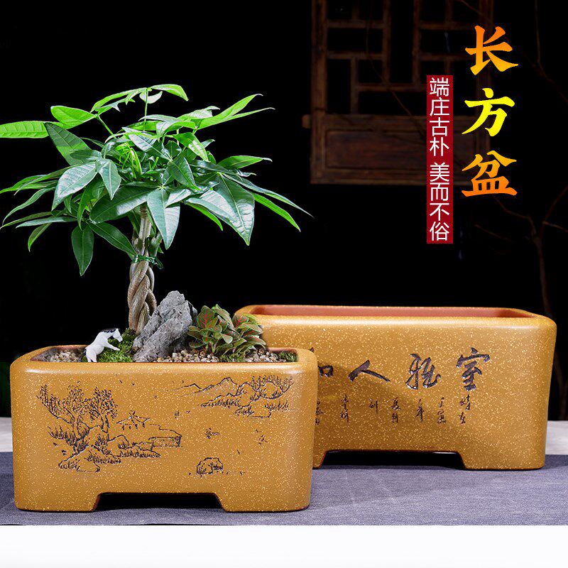 宜兴紫砂花盆精品手工特大长方形树桩榕树文竹松柏室内绿植盆景盆