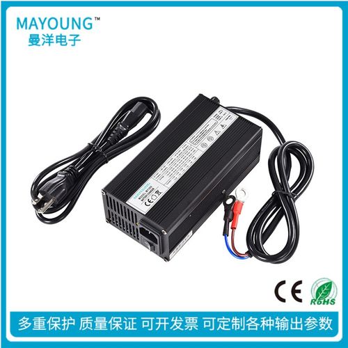12V20A电动堆高机牵引电动车12V120Ah~200Ah免维护铅酸蓄电池充电