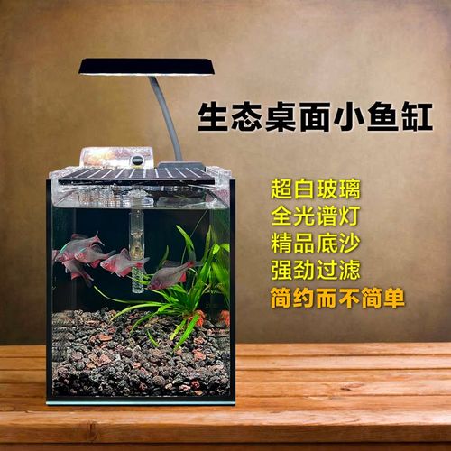 生态桌面小鱼缸客厅办公桌小型鱼缸超白黑胶玻璃造景全套水族箱