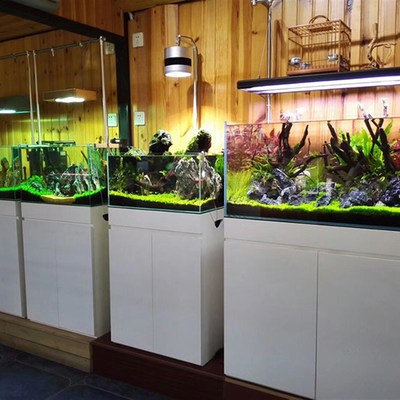 米熊鱼缸柜子套餐金晶超白五线水草缸鱼缸仿ADA底柜生态草缸淡水