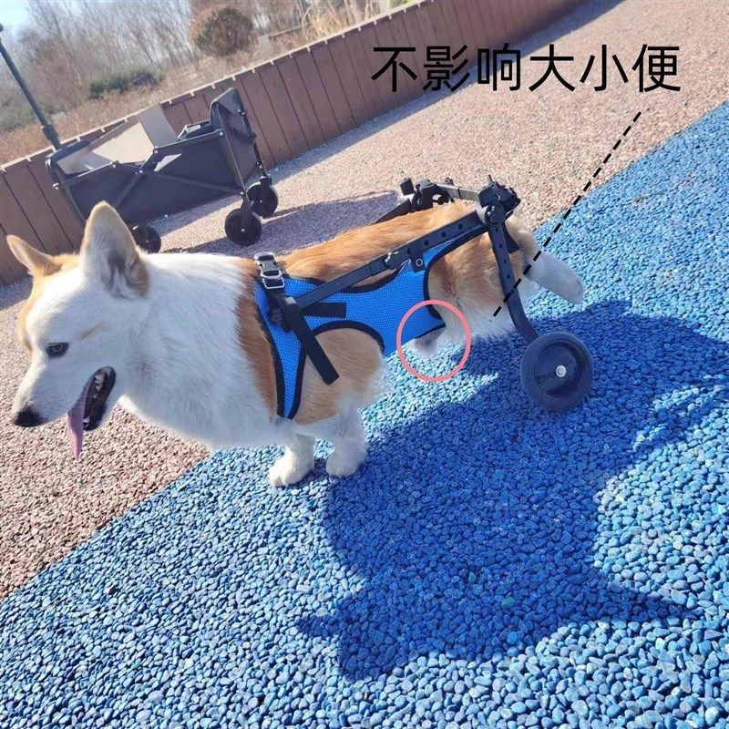 狗轮椅后肢瘫痪康复小型犬代步残疾车猫辅助泰迪宠物狗狗后腿支架,宠物/宠物食品及用品,宠物推车,淘宝优惠券,粉丝福利购,淘宝优惠卷