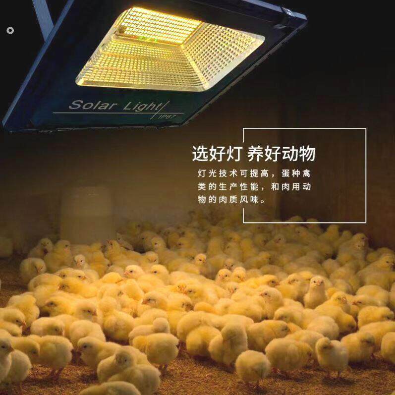 太阳能养殖保温灯养殖场养鸡场蛋鸡专用超亮暖光照明灯节能灯