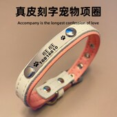 狗项圈狗牌身份牌定制刻字猫圈猫咪铃铛狗圈颈圈宠物泰迪牛皮狗链