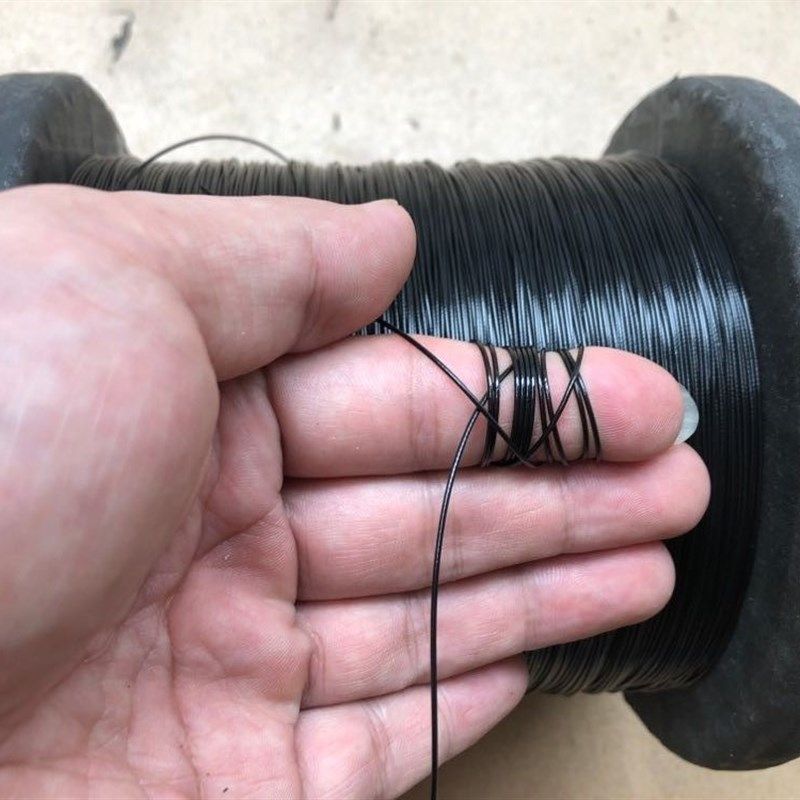 304不锈钢黑色包塑钢丝绳钓鱼线细软钢丝线吊牌0.38-6.0mm油丝绳,基础建材,钢丝吊码,淘宝优惠券,粉丝福利购,淘宝优惠卷