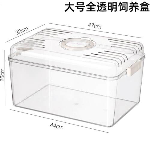 手提宠物饲养盒甲虫饲养盒寄居螃蟹仓鼠守宫饲养箱乌龟爬宠外带盒