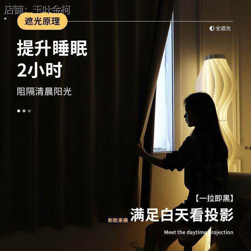 一片式窗帘布简易窗帘免打孔透光新款出租房卧室房间窗帘短帘窗帘