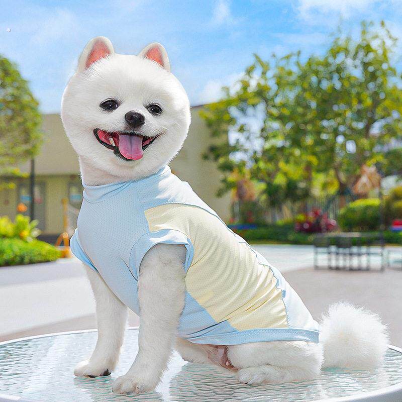 春夏季狗狗用品凉凉衣冰丝背心小中型犬外出防晒狗衣服宠物衣服