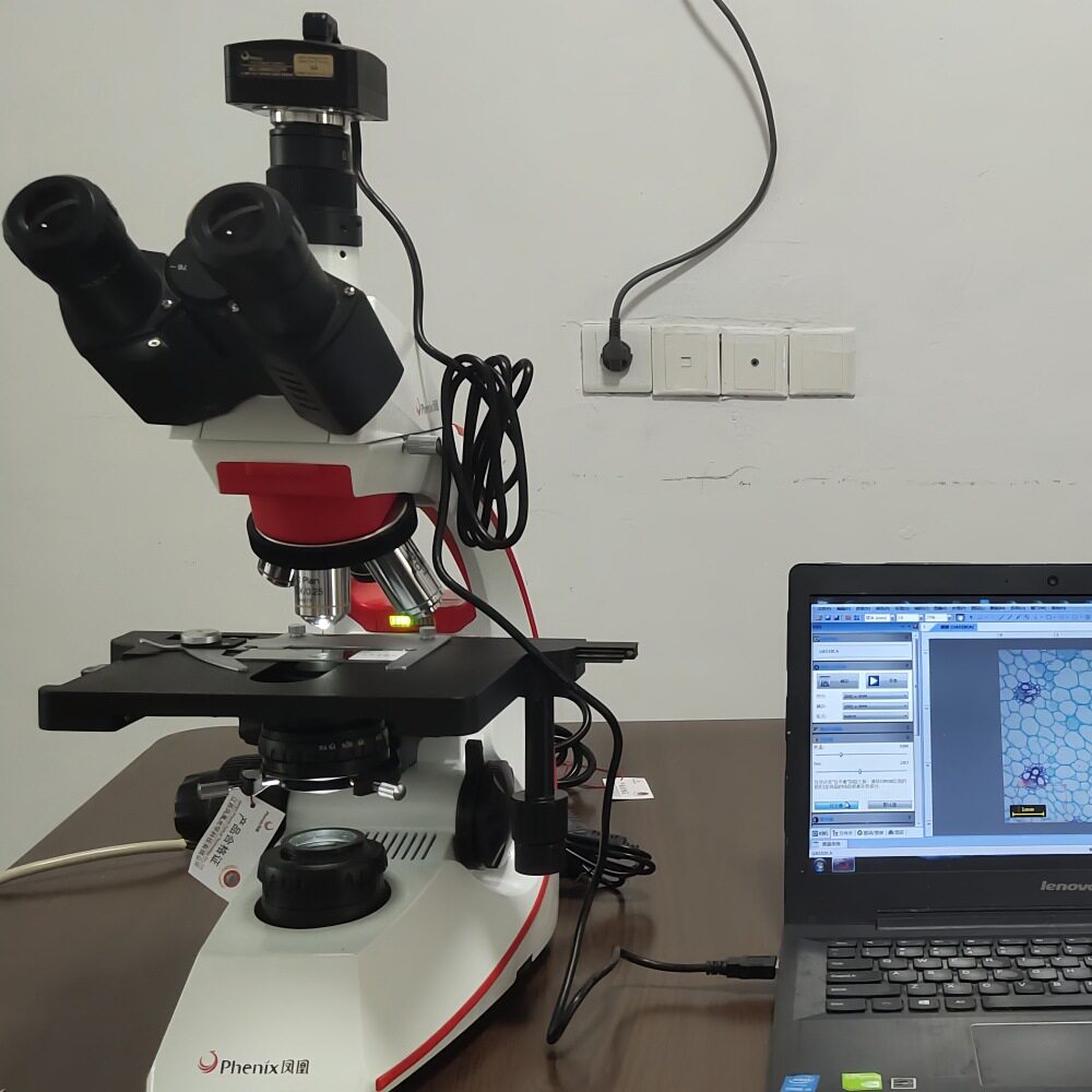 BMC532/533/522-ICCF凤凰ICCF衬托半复消色差物镜数码生物显微镜