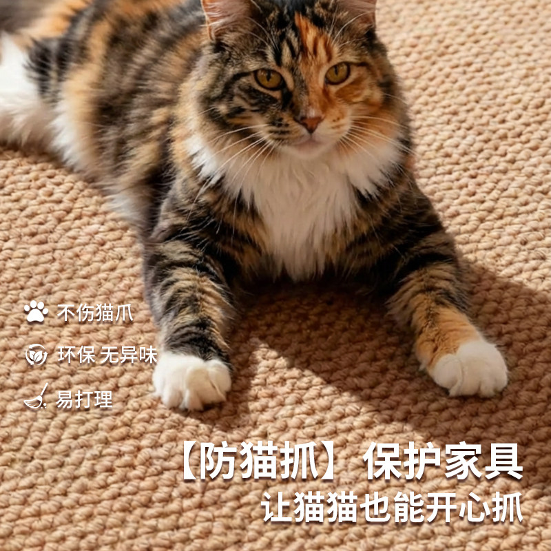 【防猫抓】2026年新款仿剑麻入户门口蹭土地垫客厅防滑养猫地毯,居家布艺,入户地垫,淘宝优惠券,粉丝福利购,淘宝优惠卷