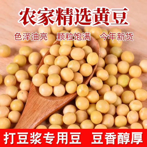 精选黄豆当季黄豆打豆浆专用农新鲜五谷杂粮颗粒圆润大黄豆杂粮