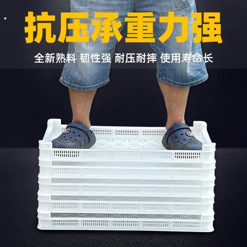 单冻器塑料冷冻筐晾晒筐海参干货多层矮扁框烘干托盘耐高温