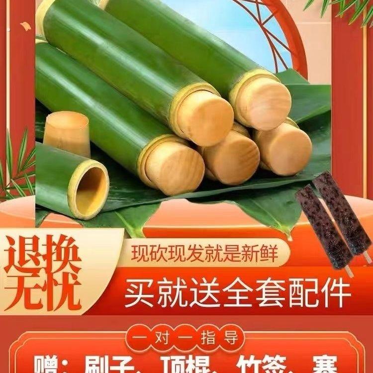 端午竹筒粽子模具小号家用商用蒸筒夜市摆摊用新鲜竹筒糯米粽子筒