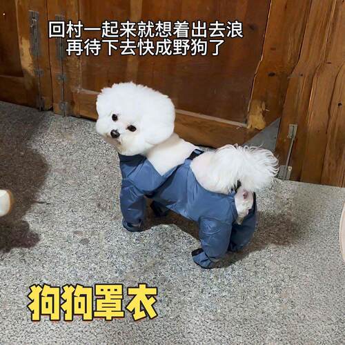 狗狗四脚防尘裤外出防脏防掉毛中小型犬博美泰迪宠物罩衣连脚衣服