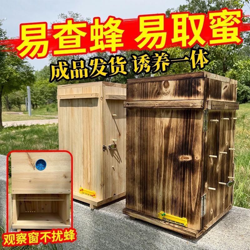 中蜂开门土养老师傅三峡蜂箱全套蜜蜂双开门式蜂桶诱蜂桶土养蜂箱