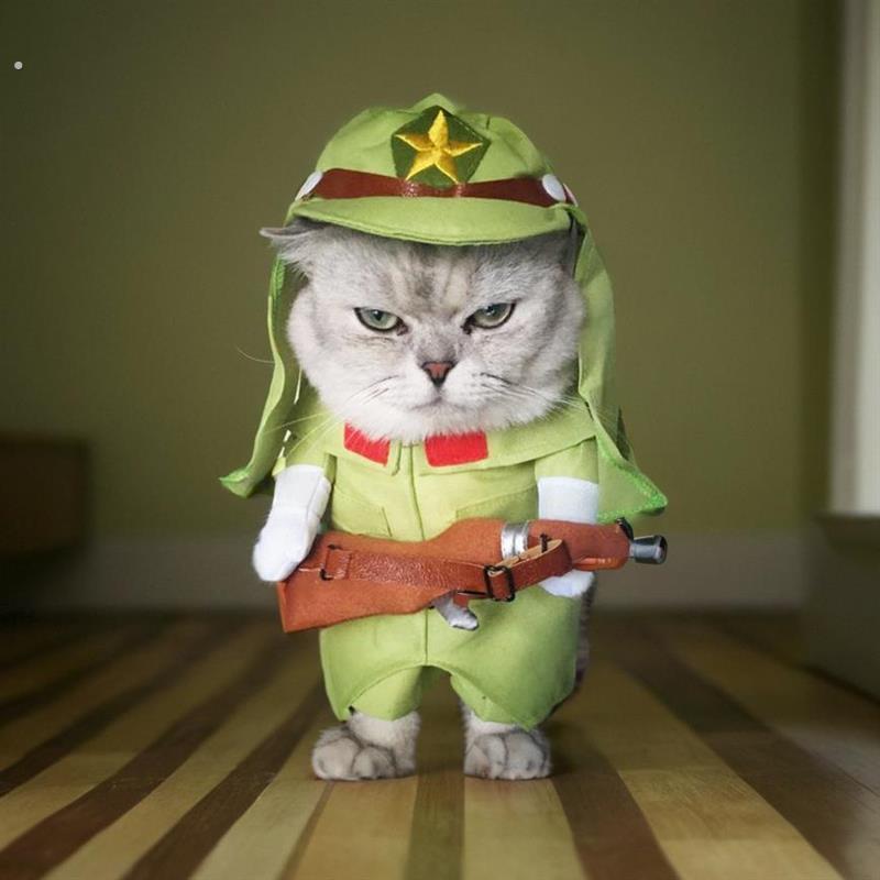 宠物猫咪狗狗搞怪衣服搞笑恶搞可爱服装变身直立装柯基柴犬幼猫
