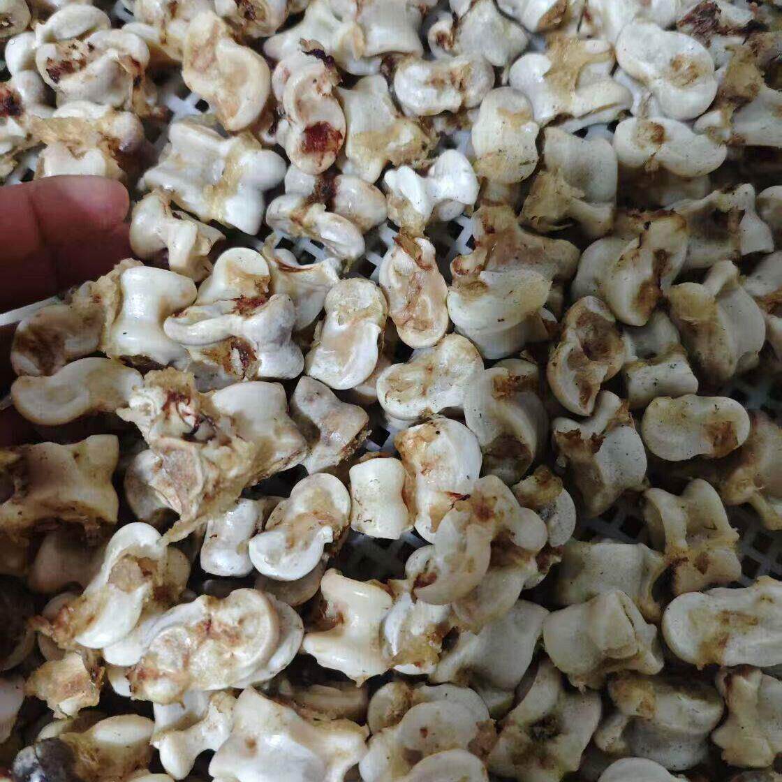 嘎啦嘎啦头骨70 80 真羊嘎拉哈纯天然回忆儿时记忆 老式 嘎拉哈骨