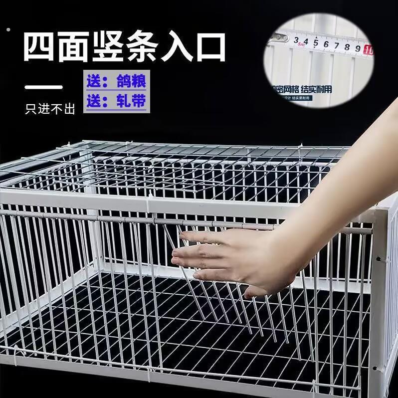 器用品用具鸽子活络门撞门信鸽赛鸽用品加厚加密回笼门