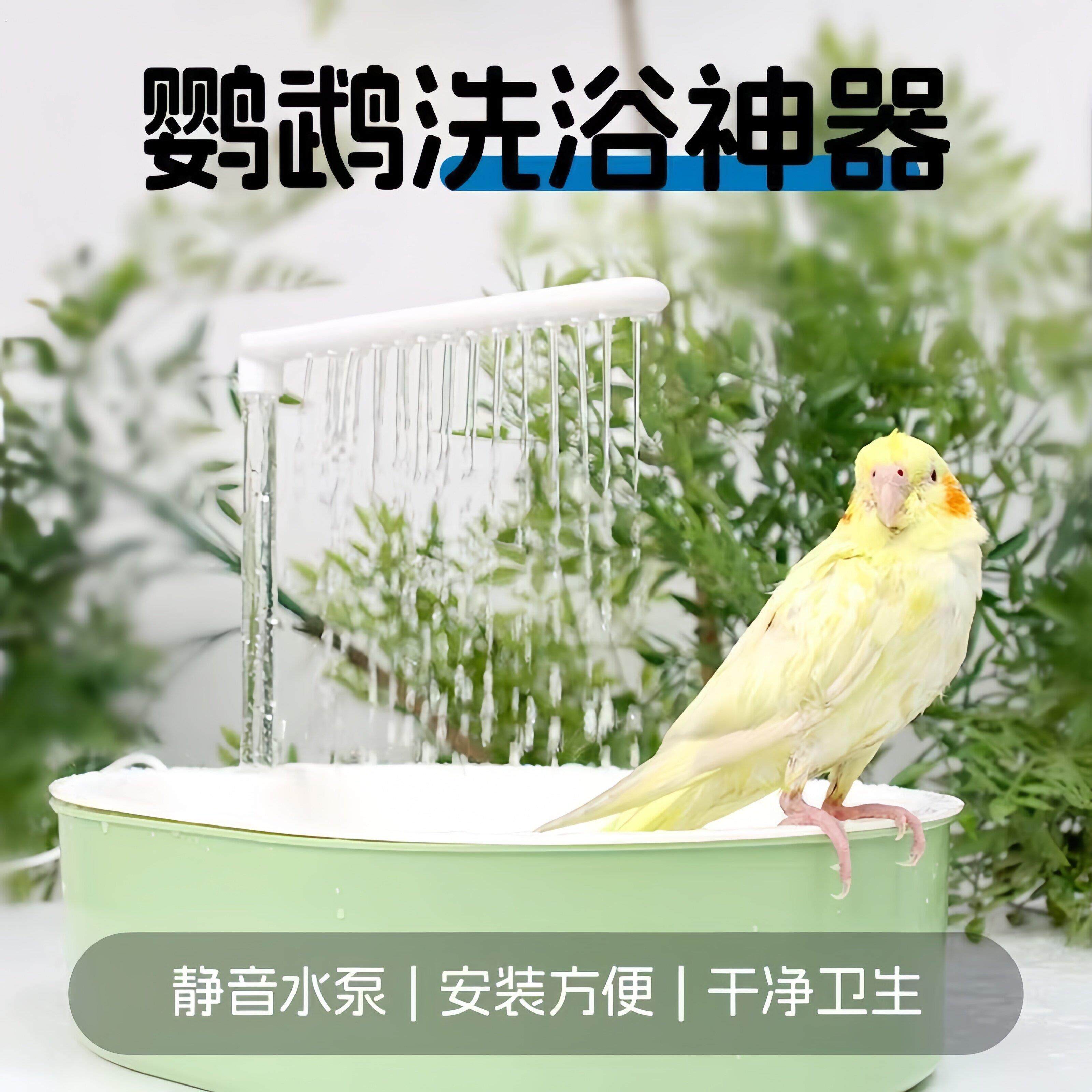 鹦鹉洗澡盆电动自动水循环小鸟专用虎皮八哥牡丹玄武大号洗澡神器