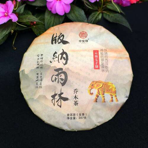 版纳雨林乔木茶2025易武普洱茶生普洱云南七子饼茶头春古树纯料