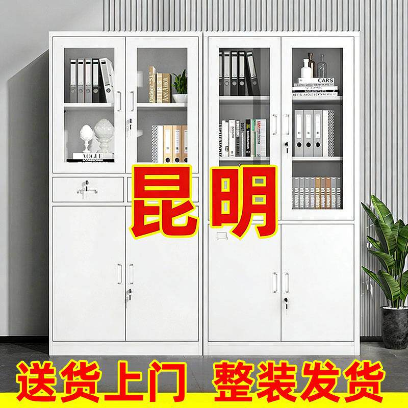 昆明钢制文件柜办公室资料柜档案柜财务凭证柜带锁收纳柜铁皮柜子