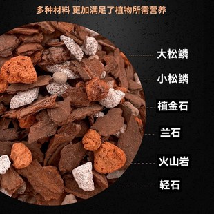 兰花专用土营养土植料兰石松树皮国兰洋兰君子兰虎皮兰好康多肥料