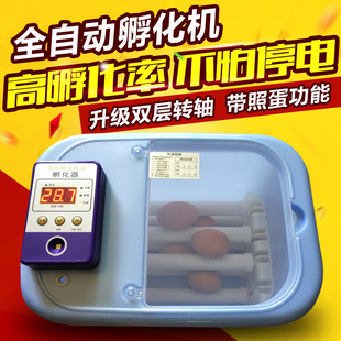 42枚全自动孵化机48枚家用孵化器 鸽子各种鸟蛋专用孵化设备