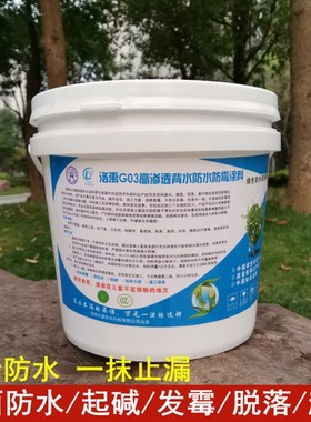 洛禹G03内墙防水防霉涂料室内背水面渗水防潮起碱起皮专用