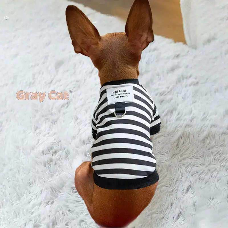 迷你杜宾小鹿犬专用狗狗衣服带牵引绳环秋冬天冬季小体鹿娃犬秋装