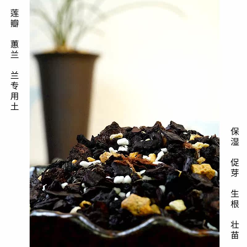兰欣园凤姐兰花专用植料土蕙兰植颗粒保湿土壤腐熟兰科透气营养土