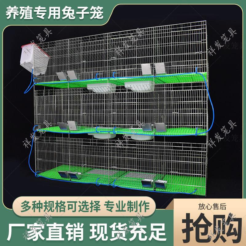 兔笼家用新型式自动清粪养殖专用子母兔子笼子超大号繁殖兔笼