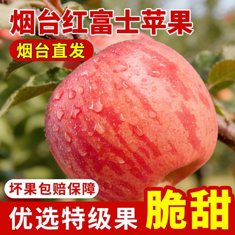 烟台红富士苹果整箱正宗山东栖霞脆甜冰糖心批发当应季新鲜水果
