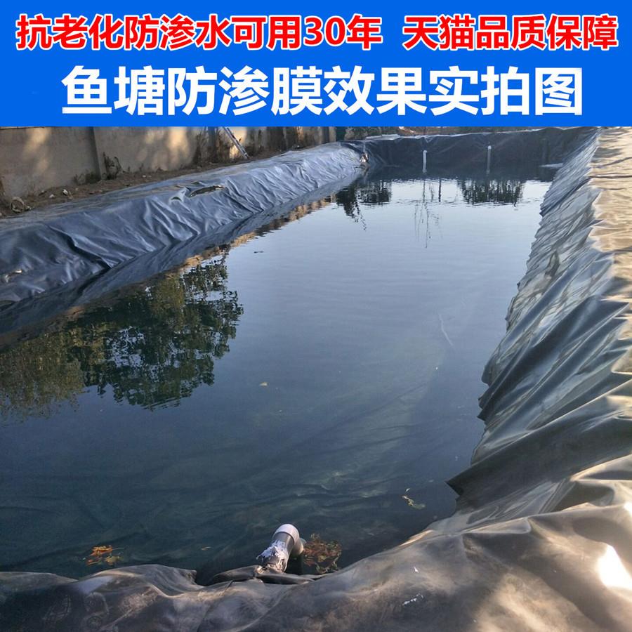 防渗膜防水膜鱼塘池塘养殖黑色土工膜储水膜加厚地膜防水布耀