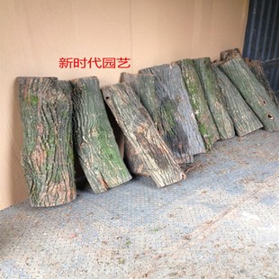 天然真树皮 柳树皮 包管道柱子 树皮装饰 道具用品 枯树 干树皮