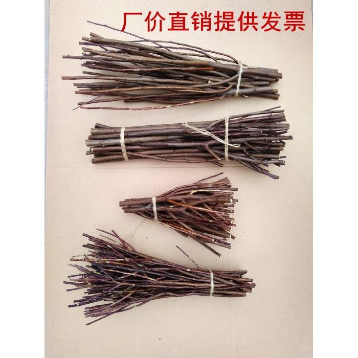 幼儿园手工天然捆装饰树杈树枝开发智力DIY插花树皮木棍干树枝