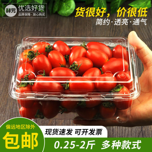 鲜元镇店款一次性透明水果盒