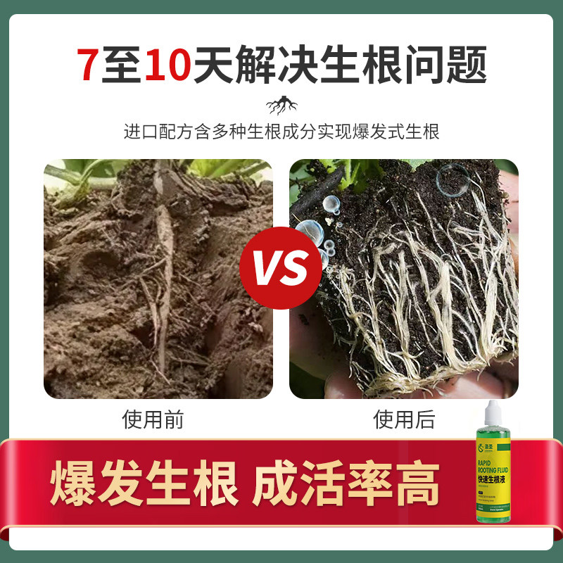 强力生根剂大小果树木移栽种植快速生根复活营养液速效发根壮苗剂,鲜花速递/花卉仿真/绿植园艺,家庭园艺肥料,淘宝优惠券,粉丝福利购,淘宝优惠卷