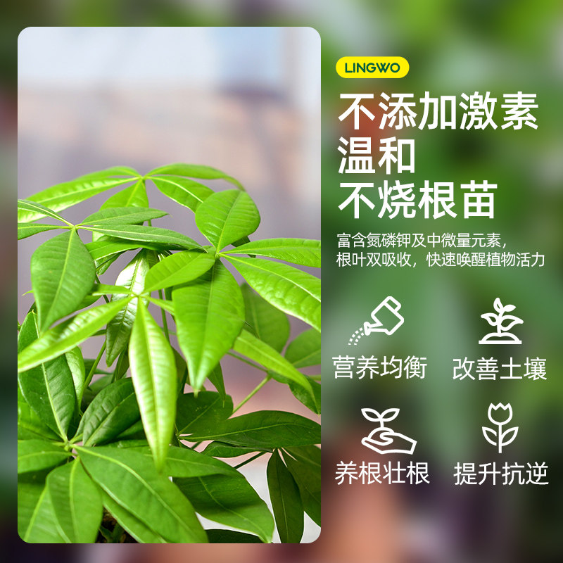 免稀释发财树专用营养液花肥料富贵竹花卉绿植家用盆栽通用液体肥,鲜花速递/花卉仿真/绿植园艺,家庭园艺肥料,淘宝优惠券,粉丝福利购,淘宝优惠卷