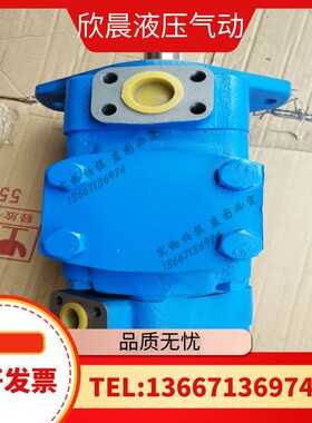 高压叶片泵 广东广液油泵YB-FQ40 YB-FQ63 YB-FQ100 125 200 泵芯