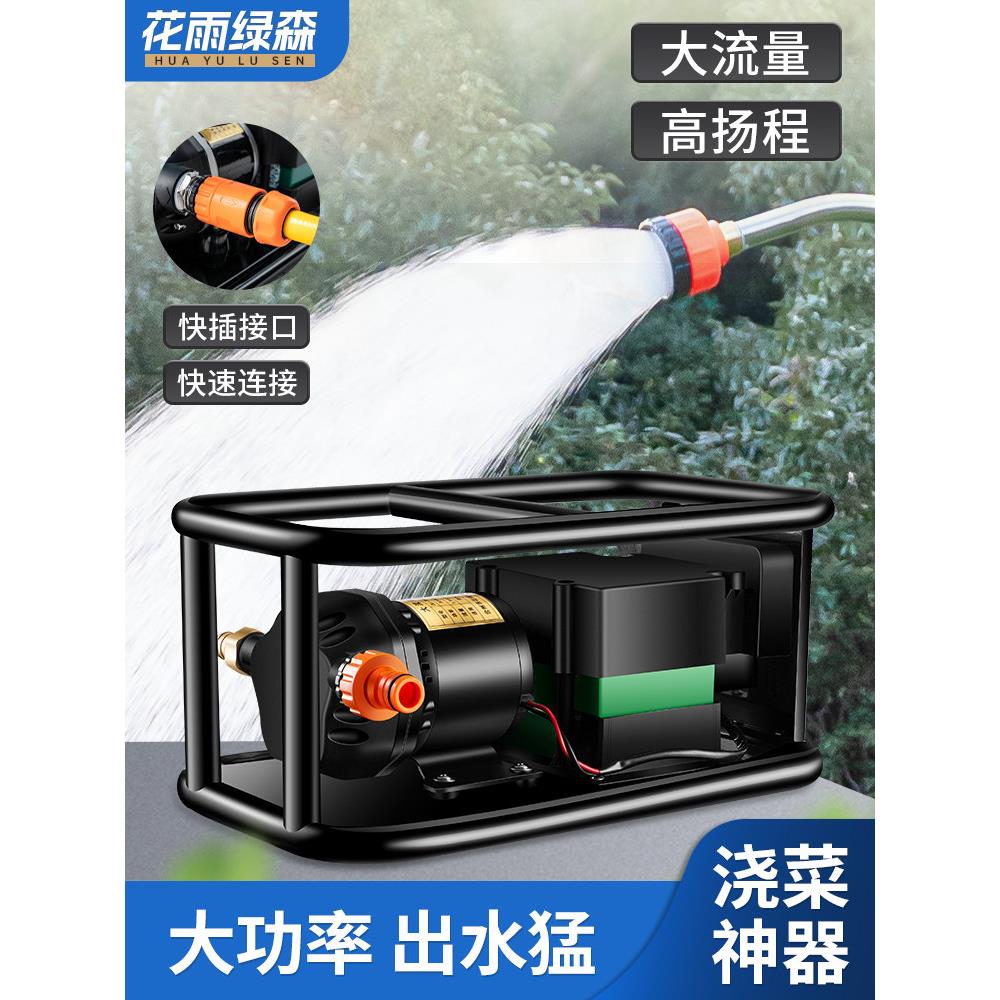 充电式抽水泵抽水机农田用灌溉电瓶浇水机浇菜浇地农业大功率水泵