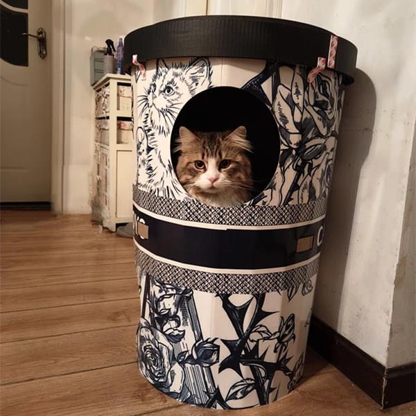 奶茶杯多层树洞猫抓板猫三层家猫窝爪磨机不占空间猫攀爬架猫用品