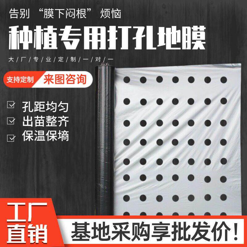 打孔银黑地膜农用打孔地膜有孔除草地膜银黑双色反光种菜专用地膜