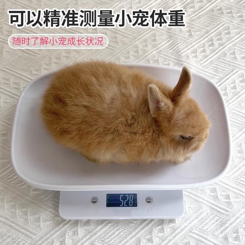 小宠物电子秤兔子龙猫荷兰猪幼猫体重计喂食秤称粮科学养宠