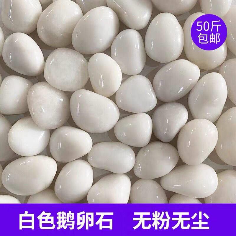白色鹅卵石装饰造景鹅卵石石头庭院景观阳台铺地精抛光白石子