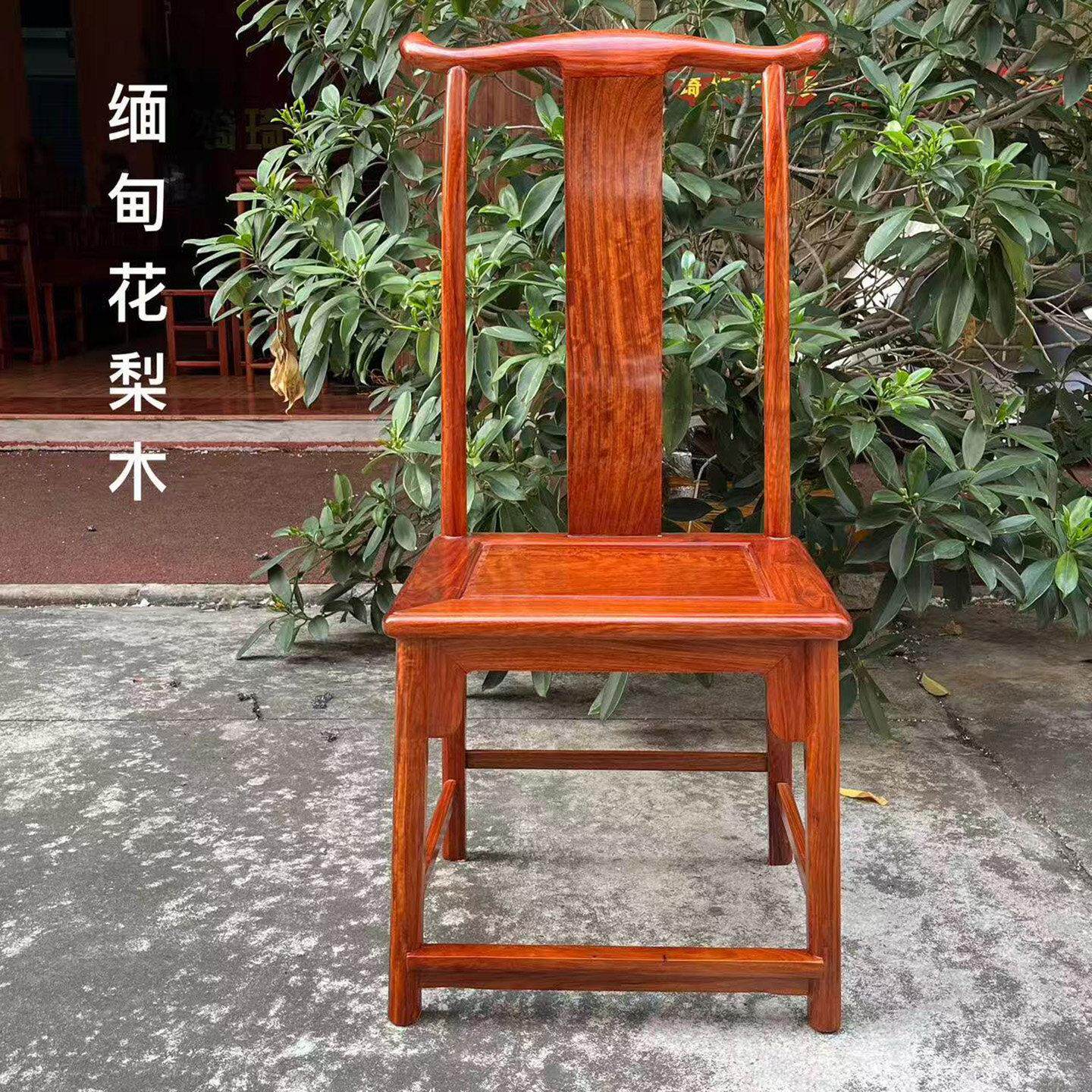 红木官帽椅缅甸花梨木餐椅靠背椅中式实木大果紫檀书桌学习椅凳