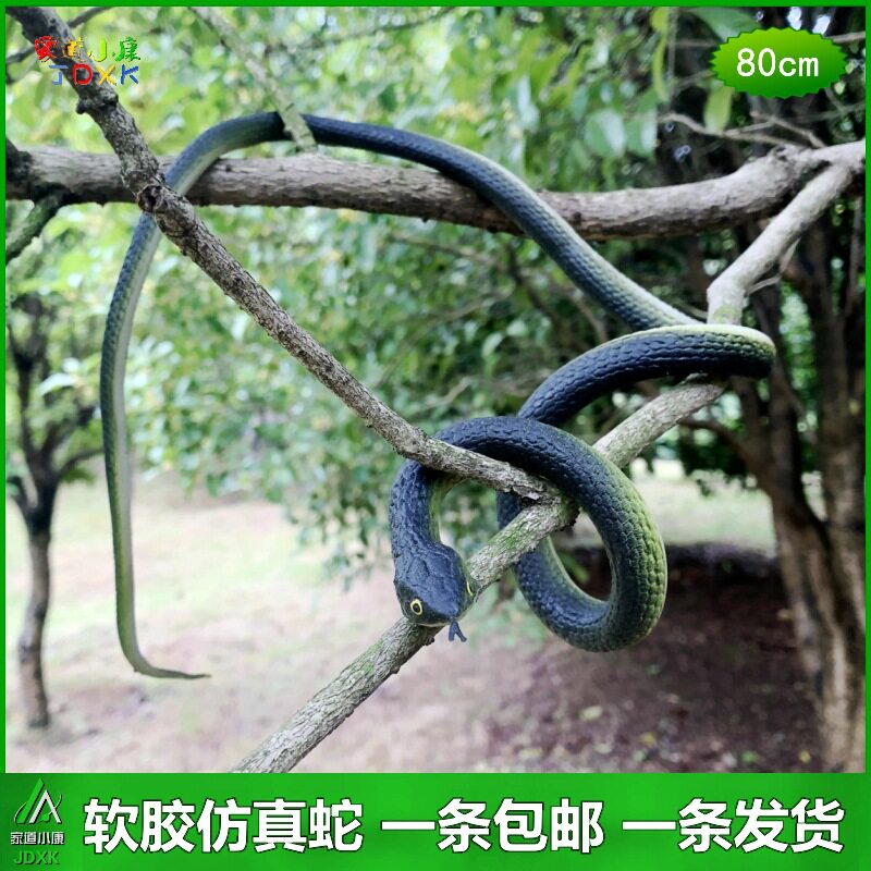 仿真眼镜蛇软胶蛇恶搞儿童玩具小蛇恐怖吓人道具塑胶假蛇动物模型