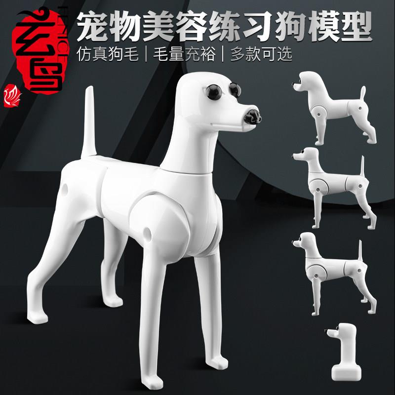 宠物专业美容彷真假毛模特泰迪拉姆贵宾人头模型假狗模型骨架练习