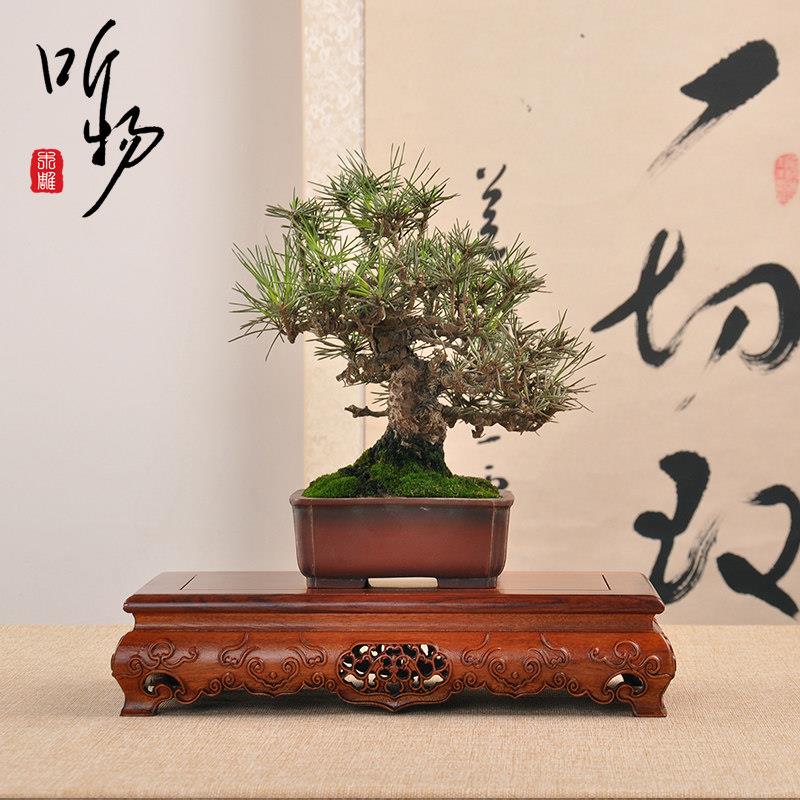 红木雕刻工艺品茶具摆件底座实木托架方形奇石头花盆佛像如意底座