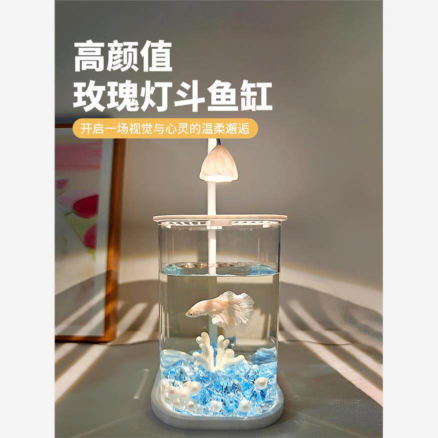工位小鱼缸2025新款斗鱼缸型网红玻璃缸客厅桌面观赏鱼造景办公室