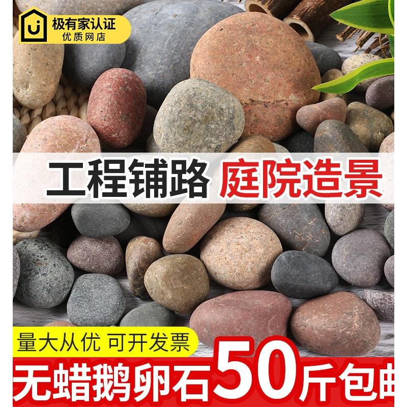 50斤大鹅卵石原石铺地舖路庭院彩色石头鱼缸装饰石子天然鹅软暖石