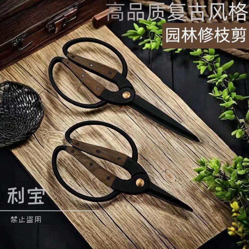 法兰剪园林家用花园剪刀不锈钢修剪盆栽树枝剪鲜花园艺剪花工具剪